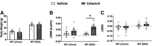 Figure 6. Celastrol treatment (0.5 mg/kg) increases RMR. A: Body weight when mice subjected to RMR measurement. Changes of RMR (ΔRMR) (B) and RER (ΔRER) (C) from baseline in both chow-fed WT and DIO mice. N = 6–9/group. Data are presented as mean ± SEM. *P < 0.05 by two-way ANOVA compared with vehicle group.