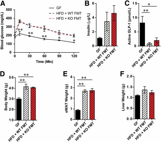Figure 6. Fecal microbiota transfer (FMT) from WT and Fpr1-KO HFD donor mice to GF recipient mice leads to glucose intolerance. A: OG-GTT of GF mice fed a NCD or placed on an HFD and gavaged with fecal preparations from WT or Fpr1-KO mice fed an HFD (n = 3–4 mice/group; 8 weeks on an HFD). B: Basal insulin levels taken immediately prior to OG-GTTs. C: Active GLP-1 levels. D: Body weight at the time of OG-GTTs. E: Weight of eWAT. F: Weight of liver. *P < 0.05, **P < 0.001 by two-way ANOVA and Bonferroni post-test (A) or one-way ANOVA and Bonferroni post-test, comparing the indicated groups. In A, significance is indicated for GF vs. HFD + WT FMT animals at each respective time point.