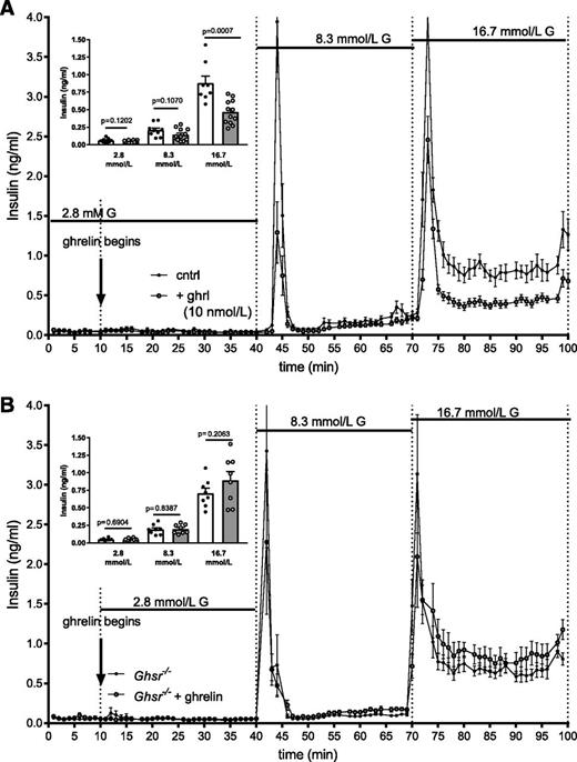 Figure 4. Ghrelin reduces GSIS in a GHSR-dependent manner. Insulin secretion from islets perifused without ghrelin (closed circles, open bar) and with ghrelin (open circles, gray bar) at 2.8, 8.3, and 16.7 mmol/L glucose (G) in islets from wild-type (A) and Ghsr−/− (B) mice. Insulin concentrations are shown as mean ± SEM. Inserts for each graph represent mean ± SEM insulin concentrations at each glucose concentration. Unpaired t test between control and ghrelin-treated islets at each glucose concentration with P values are indicated. cntrl, perifused without ghrelin; + ghrl, perifused with ghrelin.