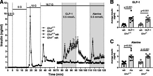 Figure 5. Insulin secretion from perifused islets isolated from Ghrl+/+ and Ghrl−/−. A: Insulin was measured in perifusate from islets exposed to stepwise increases (2.8, 5, 10, and 16.7 mmol/L) in glucose (G). From 80 to 95 min, islets were exposed to 0.5 nmol/L GLP-1 or vehicle, and from 110 to 125 min, islets were exposed to 0.5 mmol/L alanine or vehicle. Insulin concentrations are shown as mean ± SEM. B and C: Average insulin concentrations during GLP-1 (B) and alanine (C) were greater than vehicle controls for Ghrl+/+ and Ghrl−/− islets. Mean ± SEM during specific treatments. One-way ANOVA with Sidak post hoc test; P values are indicated between significant comparisons. Ala, alanine; veh, vehicle.