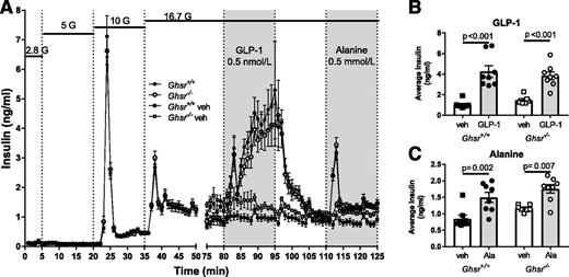 Figure 6. Insulin secretion from perifused islets isolated from Ghsr+/+ and Ghsr−/−. A: Insulin was measured in perifusate from islets exposed to stepwise increases (2.8, 5, 10, and 16.7 mmol/L) in glucose (G). From 80 to 95 min, islets were exposed to 0.5 nmol/L GLP-1 or vehicle, and from 110 to 125 min, islets were exposed to 0.5 mmol/L alanine or vehicle. Insulin concentrations are shown as mean ± SEM. B and C: Average insulin concentrations during GLP-1 (B) and alanine (C) were greater than vehicle controls for Ghsr+/+ and Ghsr−/− islets. Mean ± SEM during specific treatments. One-way ANOVA with Sidak post hoc test; P values are indicated between significant comparisons. Ala, alanine; veh, vehicle.