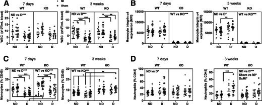 Figure 3. Diabetes results in neutrophilia but not monocytosis. Female Ldlr−/−;GpTg mice were fed a high-fat diet with 1.25% cholesterol for 12 weeks to initiate lesion formation, switched to chow, and lethally irradiated and transplanted with either WT or LysM-mediated KO bone marrow and allowed to recover for 5 weeks before injection with LCMV to induce diabetes (D) or saline (nondiabetic [ND]). Two weeks post–LCMV injection, mice were subjected to permanent ligation of the left anterior descending coronary artery (experimental MI) or a sham surgery and maintained for an additional 3.5 weeks. Mice were maintained on a low-fat semipurified diet from the onset of diabetes. A: WBC count at 7 days and the end of the study using a HEMAVET veterinary hematology system. B: Flow cytometric analysis of blood monocytes integrin α4 expression at 7 days and at 3 weeks. C: Monocytes, defined as single, live, CD45+, and CD115+ cells at 7 days and at 3 weeks. D: Neutrophils, defined as single, live, CD45+, CD115−, and GR1+ cells at 7 days and at 3 weeks. N = 14–22. *P < 0.05, **P < 0.01, ***P < 0.001, three-way ANOVA (WT vs. KO, nondiabetic vs. diabetic, sham vs. MI as the parameters, or the interaction between these) followed by Sidak multiple comparisons tests comparing groups that differ by one parameter (as indicated by lines with asterisks). The differences between each WT and KO group are not shown with lines in B (all ***).