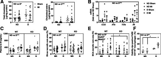 Figure 6. Diabetes increased macrophage cell death and necrotic core size. Female Ldlr−/−;GpTg mice were fed a high-fat diet with 1.25% cholesterol for 12 weeks to initiate lesion formation, switched to chow, and lethally irradiated and transplanted with either WT or LysM-mediated KO (bone marrow and allowed to recover for 5 weeks before injection with LCMV to induce diabetes (D) or saline (nondiabetic [ND]). Two weeks post–LCMV injection, mice were subjected to permanent ligation of the left anterior descending coronary artery (experimental MI) or a sham surgery and maintained for an additional 3.5 weeks. Mice were maintained on a low-fat semipurified diet from the onset of diabetes. Resident macrophage isolated at the end of the study and adhesion purified for 1 h before harvest. A: Total and esterified cellular cholesterol (n = 12–20). B: Ccl2, Il1b, Tnfa, and Il6 mRNA (n = 4–9). C: Plasma IL18 levels. D: Quantification of the necrotic cores in the aortic sinus lesion expressed as % of lesion area. Necrotic cores are defined as acellular areas with cholesterol clefts (indicated by arrows in Fig. 4B) N = 14–24. E: Quantification of the necrotic cores in the BCA expressed as % of lesion area. N = 14–22. F: Viability dye–positive (dead) resident peritoneal macrophages (n = 3–6) within the macrophage population (F4/80 and CD11B+), *P < 0.05, ***P < 0.001, two-way ANOVA (A, B, and F) and three-way ANOVA (C–E; WT vs. KO, nondiabetic vs. diabetic, sham vs. MI significance or as a significant interaction between two conditions [e.g., DxKO indicates that under diabetic conditions there is an effect of the KO, and MIxKO indicates that under MI conditions there is an effect of the KO]) followed by Sidak multiple comparisons tests comparing groups that differ by one parameter (as indicated by lines with asterisks).