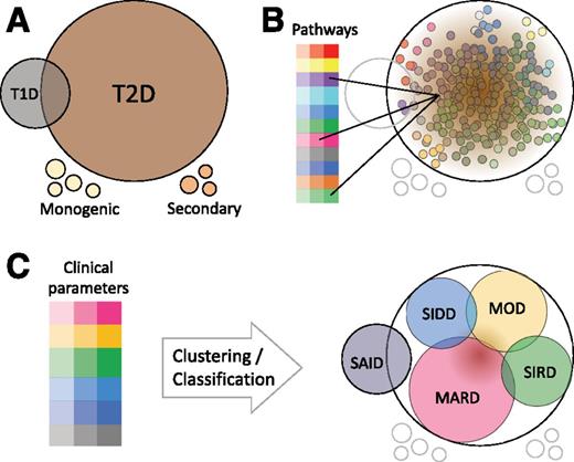 Figure 1. Schematic representations of diabetes classification and models of heterogeneity. A: The traditional classification of diabetes where T1D and T2D are viewed as distinct subgroups but with an overlap including intermediate diabetes types such as LADA. Monogenic and secondary diabetes are rare, etiologically distinct subtypes that are not included in the novel subclassification. B: The palette model where the many molecular pathways involved in diabetes pathogenesis are represented as colors and each individual with T2D is represented by the mixed colors of all the pathways affected in that individual. C: The ANDIS model, where colors instead represent clinical parameters, reflecting the underlying mechanisms, that are easy to measure in the clinic. With this approach, individuals are grouped based on their main color into subtypes with different clinical characteristics.