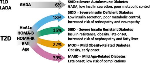 Figure 2. Novel diabetes subtype characteristics. Overview of distribution and characteristics of subtypes generated by clustering based on clinical parameters in the Swedish ANDIS cohort.