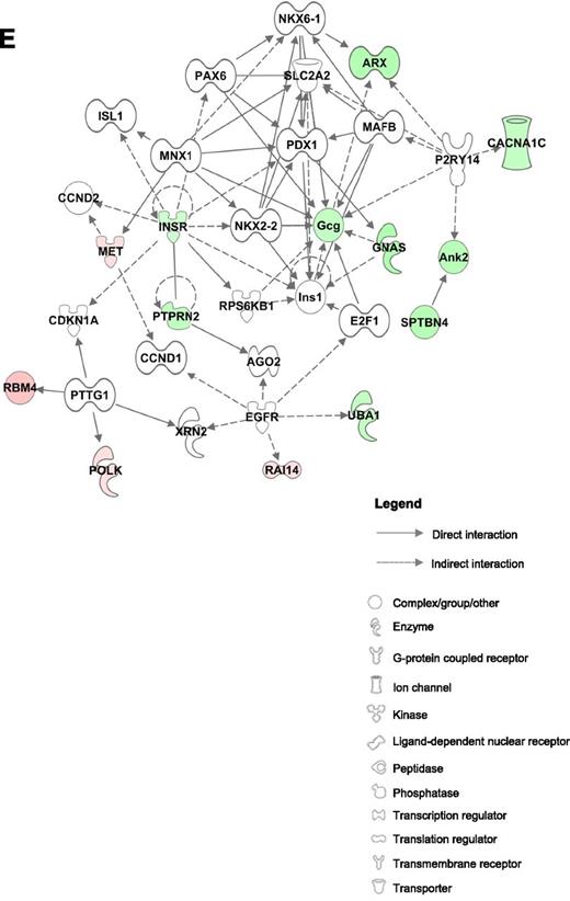 Figure 4. Overlap between methylome and transcriptome data sets in pancreatic islets of mice. A: Identification of evolutionary conservation of CpG sites in mice and humans. Schematic diagram summarizes various steps used to generate a fully automated tool, which enables the identification of evolutionary conserved CpG sites in mice and humans. B: The overlap of all differentially expressed transcripts (Welch test unadjusted P < 0.05) and differentially methylated CpG sites within and in the vicinity of genes (log-likelihood P < 0.05) in pancreatic islets of DR vs. DP mice. C: The five most enriched KEGG pathways of the identified 497 differentially methylated and expressed genes. The underlined genes exhibit conserved CpG sites (see Supplementary Tables 5 and 6). D: Scatterplot of differential expression vs. differential DNA methylation in DP vs. DR islets. Genes that are listed more than one time exhibit several differentially methylated CpG sites. E: IPA-based network analysis providing connections among 17 genes related to the transcription factor PDX1. FC, fold change; UCSC, University of California, Santa Cruz.