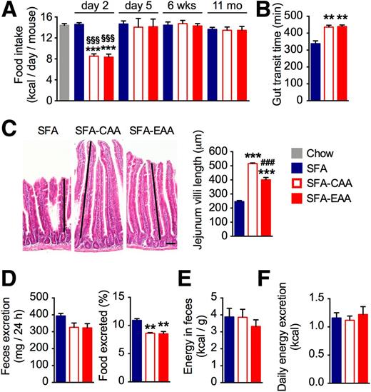 Figure 2. Food intake and energy absorption in mice on different dietary regimens. A: Food intake of mice fed with chow, SFA, SFA-EAA, and SFA-CAA diets for different time intervals (n = 5–7 mice per group). B: Gut transit time. C: Hematoxylin and eosin staining of jejunum villi. Scale bar, 90 μm. D: Energy excretion: the mean amount of feces excreted per mouse in 24 h (mg/24 h) (left) and food excreted (dry mass of fecal pellets, collected over 72 h and expressed as the percentage of food intake) (right). E: Mean energy content in feces (kcal/g). F: Daily energy excretion (kcal/mouse) calculated using the previous values (n = 3–5 mice per group). B–F: Mice were fed with the SFA, SFA-CAA, and SFA-EAA diets for 6 weeks. All data are presented as mean ± SEM. **P < 0.01 and ***P < 0.001 vs. SFA diet; ###P < 0.001 vs. SFA-CAA; §§§P < 0.001 vs. chow diet.