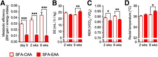 Figure 3. Energy metabolism in mice on different dietary regimens. A: Metabolic efficiency was calculated as the body weight (BW) gain-to-the energy intake ratio (i.e., total food consumed during 5 days or 2 or 6 weeks). EE (B) and RER (C) during one 24-h cycle. D: Whole-body temperature measured with a digital rectal thermometer. Measurements were performed in two separate experiments after 2 or 6 weeks (n = 5–7 mice per group). All data are presented as mean ± SEM. *P < 0.05, **P < 0.01, and ***P < 0.001 vs. SFA-CAA diet.