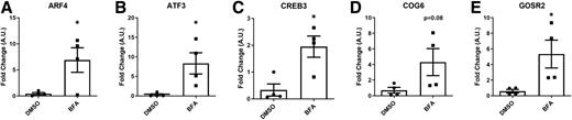 Figure 6. Candidate Golgi stress genes are upregulated in BFA-treated human islets. A–E: Human cadaveric donor islets were obtained from the IIDP and treated with 0.1 μg/mL BFA for 24 h (n = 4 from three biological donors). qRT-PCR was used to determine the expression of ARF4 (A), ATF3 (B), CREB3 (C), COG6 (D), and GOSR2 (E); *P < 0.05. A.U., arbitrary units.