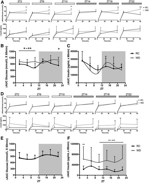 Photo inspiration: Visual Reference: Circadian Glp 1 Secretion In Mice Is Dependent On The