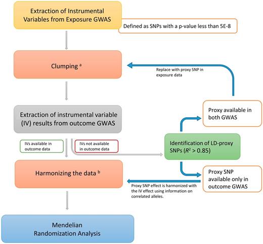 Figure 1. MR analysis flowchart. aClumping refers to the process of selecting only the independent IVs (i.e., those that are not in linkage disequilibrium [LD] with one another) using the cutoff LD r2 >0.001. bHarmonizing the data refers to ensuring that the effects of the IV on the exposure and the outcome reflect the same strand effect.