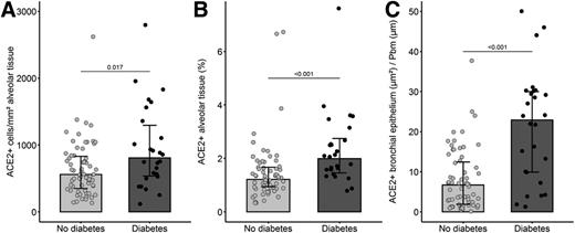 Figure 2. Pulmonary ACE2 protein expression in patients with and without diabetes. Bar plots depict median values of ACE2+ number in alveolar tissue (A), ACE2+ percentage in alveolar tissue (B), and amount ACE2+ signal measured in the bronchial epithelium (C). Error bars represent 25th and 75th percentiles. P values <0.1 are shown.