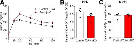 Figure 4. 5-HT is not involved in β-cell proliferation induced by metabolic stress. HFD was fed to 12-week-old mice for 8 weeks. A: Blood glucose levels were measured after intraperitoneal glucose injection (2 g/kg) after a 16-h fast (n = 4–5 mice/group). B: β-Cell proliferation was quantified by counting the percentage of insulin-positive cells labeled with Ki-67 (n = 4 mice/group). C: β-Cell proliferation upon S-961 administration (100 nmol/kg mouse twice a day) for 7 days was quantified by counting the percentage of insulin-positive cells labeled with Ki-67 (n = 4 mice/group). Data are mean ± SEM. *P < 0.05, **P < 0.01.