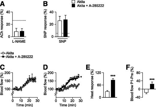 Figure 2. Improved skin microvascular function by A-285222 is NO dependent. A: Summarized data showing skin microvascular response to iontophoresis of ACh after pretreatment with l-NAME (20 mg/kg body weight i.p.), 30 min prior to laser Doppler imaging. Dashed line represents the ACh response in A-285222–treated mice in the absence of l-NAME at the same time point. B: Summarized data showing skin microvascular response to iontophoresis of 2% SNP iontophoresed for 10 min (current of 100 μA). Dashed line represents the ACh response in vehicle-treated mice in the absence of SNP at the same time point. Data in A and B are the difference between maximum vasodilation to ACh or SNP and maximum vasoconstriction to PE. Skin microvascular response to localized heating (42°C; 1°C/min) in Akita mice before (C) and immediately after (D) treatment, as described in Fig. 1A. *P < 0.05. Data are presented as percentage of basal blood flow prior to heating. E: Summarized data from measurements in D showing the maximum vasodilation in response to localized heating. ***P < 0.001. F: Longitudinal change in maximum vasodilation in response to localized heating expressed as the difference between measurements before (Pre) and after (Post-1 [P1]) treatment with A-285222 or vehicle. ***P < 0.001. N = 5–16 mice/group.