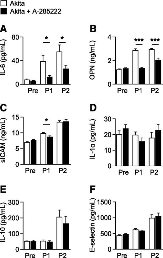 Figure 6. NFAT inhibition with A-285222 prevents diabetes-induced increase of inflammatory plasma cytokines and endothelial activation markers. Summarized plasma levels of IL-6 (A), OPN (B), soluble intercellular adhesion molecule 1 (sICAM) (C), IL-1α (D), IL-10 (E), and E-selectin (F) in Akita mice measured before (Pre), directly after (Post-1 [P1]), and 4 weeks after (Post-2 [P2]) treatment with A-285222 (0.29 mg/kg/day) or vehicle as outlined in Fig. 1A. N = 6–22 mice/group. *P < 0.05; ***P < 0.001 vs. Akita.
