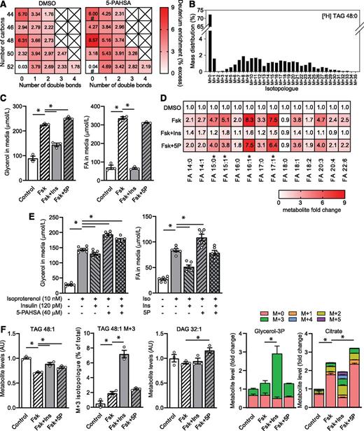 Figure 4. 5-PAHSA–stimulated lipogenesis and selectively modulated lipolysis. A: 3T3-L1 adipocytes were grown in the presence or absence of 40 μmol/L 5-PAHSA for 3 days and labeled with 50% 2H2O. The deuterium enrichment of intact TAG molecules, marking the rate of lipogenesis, was measured using LC-MS/MS and is expressed as a heat map of TAGs sorted according to the number of carbons and double bonds. All fields were significantly different at P < 0.05 (Student t test, DMSO vs. 5-PAHSA) except for those marked with #, where the numbers in the fields are means (n = 6). B: Illustrative profile of deuterium-labeled TAG 48:0. C: Lipolysis: 3T3-L1 adipocytes were preincubated with insulin (Ins) or 40 μmol/L 5-PAHSA (5P) and stimulated with 1 μmol/L forskolin (Fsk). Glycerol and free FAs in media were measured using colorimetric kits. One-way ANOVA with multiple comparison test (Dunnett) comparing means with the mean of the Fsk group was used. Data are means ± SEM (n = 3). *Statistically different at P < 0.05. D: Lipolysis: levels of individual FAs in media were measured using LC-MS/MS; numbers in the fields are means (n = 8–9). *Statistically different at P < 0.05 by one-way ANOVA as above. E: Lipolysis: 3T3-L1 adipocytes were preincubated with 120 pmol/L Ins, 40 μmol/L 5P, or their combination and stimulated with 10 nmol/L isoproterenol (Iso). Glycerol and free FA in media were measured using colorimetric kits. One-way ANOVA with multiple comparison test (Dunnett) comparing means with the mean of the Iso-alone group was used. Data are means ± SEM (n = 6). *Statistically different at P < 0.05. F: Lipolysis: levels of metabolites related to TAG 48:1 (16:0_16:0_16:1) were measured in the harvested cells using LC-MS/MS. 13C6-glucose was used as a tracer and citrate as a precursor of DNL. Data are means ± SEM (n = 3). *Statistically different at P < 0.05 by one-way ANOVA as above. AC, acute CE; AU, arbitrary unit; CC, chronic CE; Glycerol-3P, glycerol 3-phosphate.