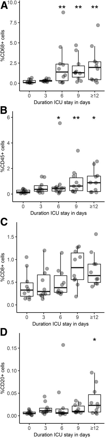 Figure 2. Quantification of the relative number of CD68+ (A), CD45+ (B), CD8+ (C), and CD20+ (D) cells expressed as the percentage of total cells counted/mm2 of pancreatic tissue in each human donor pancreas with increasing duration of stay in the ICU. Results are expressed as boxplots enriched with individual data points. The significance of the differences between observations at time point 0 and each of the other time points was obtained with a pairwise permutation test with Hommel correction for multiple testing at the *P < 0.05 and **P < 0.01 level.