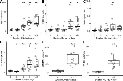 Figure 5. Quantification of the number of Ki67+ cells/mm2 in pancreatic tissue (A), the percentage of Ki67+insulin (ins)+ cells/total insulin+ cells (B), the percentage of Ki67+glucagon (gluc)+ cells/total glucagon+ cells (C), and the percentage of Ki67+amylase (amy)+ cells/total amylase+ cells (D) in human donor pancreas with increasing duration of stay in the ICU. The number of MCM7+ cells/mm2 (E) and phospho–histone H3 (PHH3)+ cells/mm2 (F) was quantified in human donor pancreas with 0 and ≥12 days of stay in the ICU. Results are expressed as boxplots enriched with individual data points. The significance of the differences between observations at time point 0 and each of the other time points was obtained with pairwise permutation tests with Hommel correction for multiple testing at the *P < 0.05, **P < 0.01, and *** P < 0.001 level.