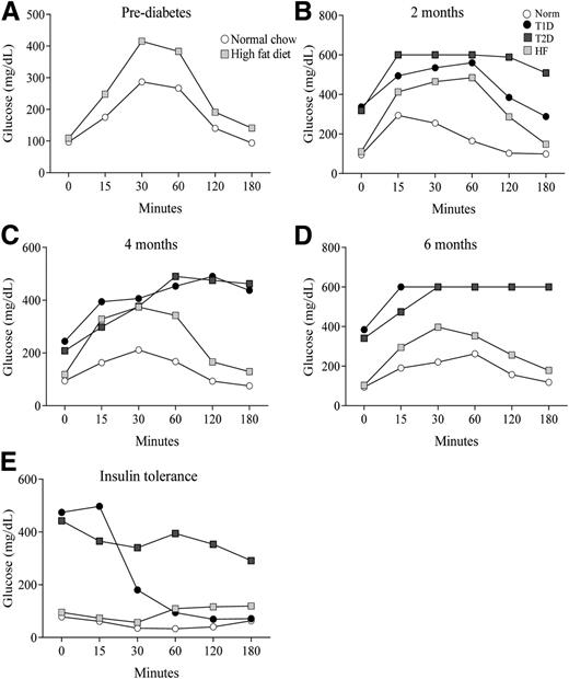 Figure 1. Glucose tolerance before and after induction of diabetes. Glucose tolerance was evaluated in overnight-fasted rats maintained on normal chow or high-fat diet before (A) and 2, 4, and 6 months after (B–D) Stz administration. E: Insulin resistance sensitivity was evaluated by measuring glucose in rats after administering Humulin R (1 IU/kg BW). Each graph is representative of 7–9 rats in each group.
