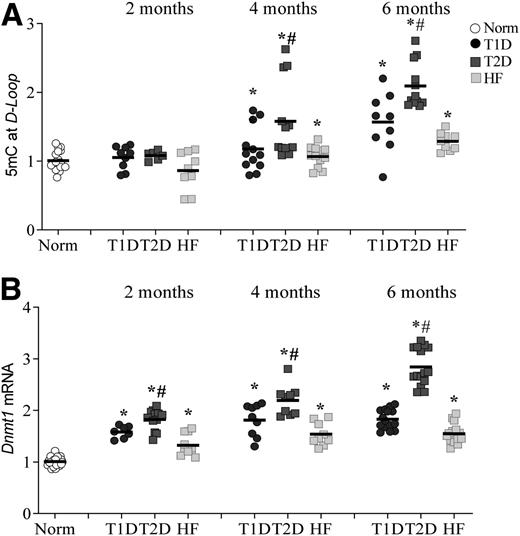 Figure 6. Methylation of mtDNA. Retinal microvessels were used to quantify 5mC levels at mtDNA by methylated DNA immunoprecipitation technique (A) and Dnmt1 gene transcripts by qPCR (B) using β-actin as the housekeeping gene. Values are represented as means ± SD from 4–6 retinal microvessel preparations/group, and the numbers obtained from normal rats are considered as 1. *P < 0.05 vs. Norm; #P < 0.05 vs. T1D.