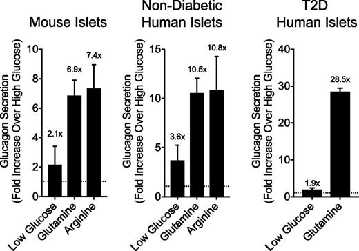 Figure 1. Effects of glucose versus amino acids on glucagon secretion in isolated perifused islets. Glucagon secretion was measured in perifused islets, calculated as the incremental area under the curve, and expressed as fold change relative to the values collected at high glucose (10 mmol/L). Low glucose conditions were at 2.7 mmol/L glucose, while the glucagon responses to both glutamine and arginine were collected under high-glucose conditions (10 mmol/L).