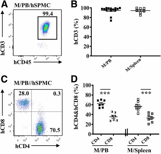 Figure 1. Human CD3+ (hCD3+) T cells in NSG mice after transfusion of hSPMCs. A: The representative pseudocolor plot of hCD45 vs. hCD3 (gating on hCD45+ cells) in PB of NSG mice (M) transfused with 1 × 107 hSPMCs (M/PB/hSPMC) at week 5. B: The proportion of hCD3+ T cells in reconstituted hCD45+ cells in PB (n = 14, including 5 × 106 [n = 4] and 1 × 107 fresh [n = 5] and 1 × 107 frozen [n = 5]) (M/PB) and spleen of NSG mice transfused with hSPMCs (n = 7, including 5 × 106 [n = 2] and 1 × 107 [n = 3] fresh hSPMCs or 1 × 107 frozen hSPMCs [n = 2]) (M/Spleen) at week 5. C: The representative pseudocolor plot of hCD4 vs. hCD8 (gating on hCD3+ T cells) in PB of NSG mice transfused with 1 × 107 of hSPMCs at week 5. D: The proportion of hCD4+ and hCD8+ T cells in reconstituted hCD3+ T cells of PB and spleens from NSG mice transfused with hSPMCs at week 5 (n = 7, including 5 × 106 [n = 1] and 1 × 107 fresh [n = 3] and 10 × 106 frozen hSPMCs [n = 3]). Data were from five independent experiments. Nonparametric Mann-Whitney test and unpaired t test were used for the comparisons of proportion of hCD3+ T cells in reconstituted hCD45+ cells (B) and proportion of hCD4+ and hCD8+ T cells in reconstituted hCD3+ T cells in hNSG mice (D), respectively. Error bars indicate mean ± SEM. ***P < 0.001.