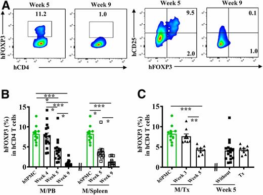 Figure 4. Reduction of hCD4+CD25+FOXP3+ Tregs over time in hNSG mice that were transfused with 1 × 107 hSPMCs. A: The representative pseudocolor plots (smooth) of hCD4 vs. hFOXP3 and hFOXP3 vs. hCD25 (gating on hCD4+ T cells) in spleens of the hNSG mice at week 5 and week 9. B: The proportion of hCD4+FOXP3+ Tregs in PB (M/PB) and spleens (M/Spleen) of the hNSG mice at weeks 4, 5, and 9 of reconstitution (n = 11–16). Control is donor hSPMCs before transplantation (green circles, n = 11). C: The proportion of hCD4+FOXP3+ Tregs in PB of the hNSG recipient mice at week 3 (n = 9) and week 5 (n = 8) after hSPMC transfusion compared with donor hSPMCs before transplantation (green circles, n = 11). Data were from five independent experiments. Kruskal-Wallis test followed by Dunn multiple comparison test and Mann-Whitney test was used for comparisons. Error bars indicate the mean ± SEM. *P < 0.05, **P < 0.01, ***P < 0.001.