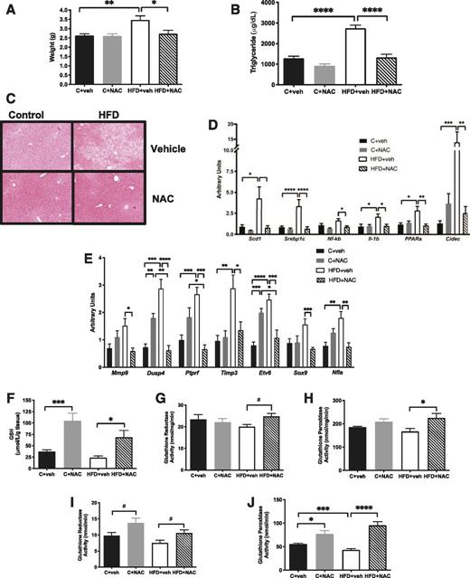 Figure 5. NAC treatment prevented hepatic steatosis and inflammation and preserved antioxidant capacity in HFD offspring. A: NAC normalized liver weight. B and C: The rise in hepatic triglycerides (B) and the increase in hepatic lipid vacuolization (C) (original magnification ×200) observed by H-E staining in HFD+vehicle offspring. NAC also normalized mRNA expression of proinflammatory and lipid-associated genes (D) and genes previously identified as differentially expressed and differentially methylated in HFD+vehicle offspring (E). NAC exposure increased hepatic GSH (F), GR (G), and GPx (H) activity and serum GR (I) and GPx (J) activity. n = 5–6/group except n = 3/group in C. *P < 0.05, **P < 0.01, ***P < 0.001, ****P < 0.0001; #P < 0.05 by ANOVA. veh, vehicle.