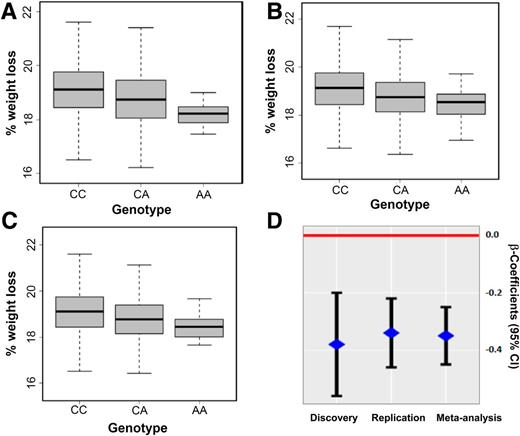 Figure 1. Association of weight loss with rs679482. The box plots depict the distribution of % weight loss by genotype in discovery (A), replication (B), and combined (C) samples. Association between rs679482 and % weight loss has an additive mode of inheritance, where subjects with A allele tend to lose less weight compared with subjects with C allele. D: The forest plot depicts the effect size and direction of association (based on A allele) in discovery and replication and the combined meta-analysis. The diamonds and the black vertical lines represent β regression coefficients and 95% CIs. Of note, rs679482 explained 3% of weight loss variance (Vp) in the discovery sample, 2.3% of variance in the replication sample, and 2.6% of phenotypic variance in combined meta-analysis.