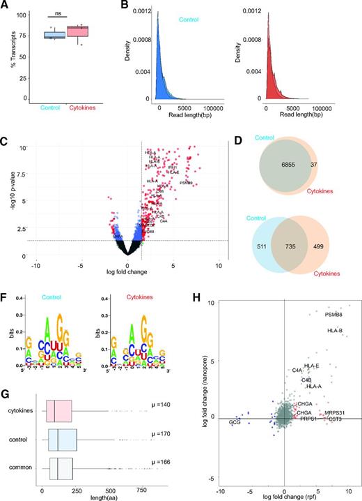 Figure 3. Integration of long RNA-seq and ribosome profiling. A: Mean percentages of ribosomal footprints aligned to the transcriptome (n = 3). B: Nanopore QC analysis showing the RNA read length. The cleaned reads were aligned to the transcriptome (Ensembl build GRCh38.99) for the controls (n = 3) and cytokine-treated samples (n = 3) with use of STAR, version 2.7.3a. C: Volcano plot of transcripts expression detected in long RNA-seq (n = 3, read cutoff: mean of replicates = 10). T1D susceptibility genes are depicted. D: Venn diagram representing the novel transcripts detected in control and cytokine-treated conditions. E: Venn diagram representing the number of TIS detected on novel transcripts (shown in D) upon alignment of ribosome profiling with long RNA-seq data. F: Codon usage of TIS on novel transcripts. Sequence logo, corresponding to E- (−3 to 0), P- (0 to 3), and A- (3 to 6) sites of the ribosome pockets. G: Length of ORFs potentially generated by the identified TIS on novel transcripts. The average length of the ORFs is indicated as µ. H: Scatterplot representing the differential expression of the RPF at TIS position (x-axis) vs. differential expression of the long RNA-seq transcripts (y-axis). T1D susceptibility genes are depicted.