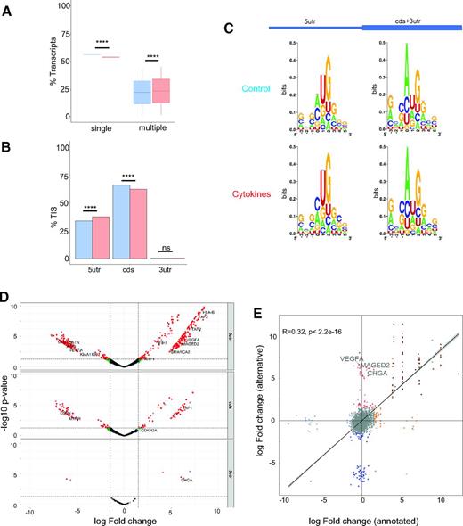 Figure 4. Inflammation disturbs the translational process and fidelity. A: Percentage of transcripts showing a unique or multiple TIS (two or more). Statistical analysis was performed using the z-score test. B: Region distribution of the TIS identified on the transcriptome in control or cytokine treated conditions. Statistical analysis was performed using the z score test. C: Qualitative codon usage profiles of upstream and downstream the canonical start codon. Sequence logo, corresponding to E- (−3 to 0), P- (0 to 3), and A- (3 to 6) sites of the ribosome pockets. D: Volcano plot of the out-of-frame TIS differential expression per transcript regions. E: Scatterplot representing the differential expression of the RPF at canonical TIS position vs. differential expression of the out-of-frame alternative TIS. Spearman correlation test was used to calculate the R factor and the corresponding P value. T1D susceptibility genes are labeled.