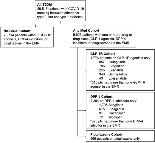Study flowchart. pts, patients.