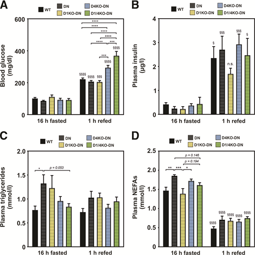 Lack of TBC1D4, but not TBC1D1, combined with muscle-specific AMPK inactivation leads to impairments in whole-body glycemia in the postprandial state. A–D: A fasting and refeeding experiment was performed, and blood glucose, plasma insulin, plasma triglyceride, and plasma NEFA levels were measured after 16 h of fasting and 1 h of refeeding. n = 4–12. Data are mean ± SEM. *P < 0.05, **P < 0.01, ***P < 0.001, ****P < 0.0001, WT vs. DN vs. D1KO-DN vs. D4KO-DN vs. D1/4KO-DN by two-way ANOVA with Tukey correction; §P < 0.05, §§§P < 0.001, §§§§P < 0.0001, 16-h fasted vs. 1-h refed mice by two-way ANOVA with Šidák correction. n.s., not significant.