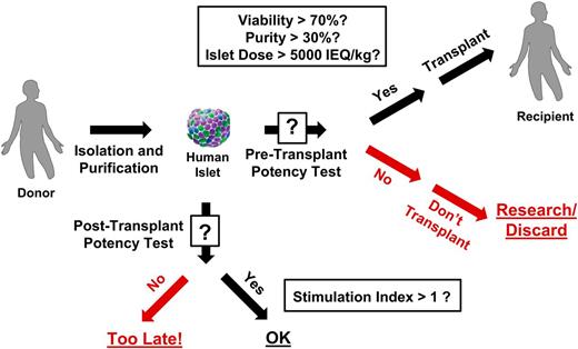 Figure 2. Current quality control process used for islet transplantation. After isolation and purification of islets from donor pancreas, criteria for determining potency prior to transplantation into a recipient (i.e., “Pre-Transplant Potency Test”) typically include testing for viability (>70%), purity (>30%), and islet dose (>5,000 IEQ/kg). While testing of the secretion of insulin in response to glucose stimulation—measured as a ratio of insulin produced in a condition of high glucose divided by insulin produced in a condition of low glucose (target of stimulation index >1)—is sometimes also conducted, the results are not available quickly enough to be used in decision-making regarding transplantation (i.e., “Post-Transplant Potency Test”). IEQ, Islet Equivalent; kg, kilogram.