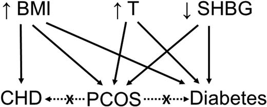 Figure 1. Relationships among risk factors, PCOS, and cardiometabolic events suggested by MR. Each solid arrow represents a positive genetic correlation documented by MR, indicating possible causal relationships. The relationship between increased testosterone and PCOS applies only to women. These relationships may explain the epidemiologic associations among PCOS and CHD and diabetes. The dotted arrows represent the negative MR results of the current study. T, testosterone.