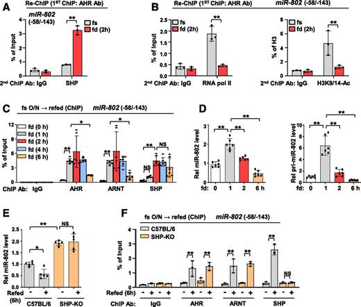 Figure 3. SHP inhibits AHR transactivation of miR-802 in a physiologically relevant manner. A and B: C57BL/6 mice were fasted overnight and refed for 2 h (n = 3). Co-occupancy of SHP (A) or RNA pol II (B, left) with AHR and levels of histone H3 acetylated at K9/14 (H3K9/14-Ac) in AHR-immunoprecipitated chromatin (B, right) determined by re-ChIP. C and D: C57BL/6 mice were fasted overnight and refed for the indicated times (n = 6). C: Occupancy of the indicated factors at the miR-802 gene determined by ChIP. D: Levels of mature miR-802 (left) and primary transcript (pri-miR-802) (right) determined by RT-qPCR. E: Hepatic miR-802 levels from C57BL/6 or SHP-KO mice refed for 6 h after fasting overnight (n = 5). F: Factor occupancy at the promoter region of miR-802 in C57BL/6 and SHP-KO mice determined by ChIP (n = 3). The mean and SD are plotted. Statistical significance was determined by the two-way ANOVA (A–C, E, and F) or one-way ANOVA (D). *P < 0.05, **P < 0.01. Ab, antibody; fd, fed; fs, fasting; O/N, overnight; Rel, relative.