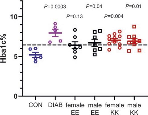 Figure 7. HbA1c at 28 weeks of age (HFD from week 8). Fraction of HbA1c% in blood samples taken postmortem at 28 weeks of age. β-V59M mice with inducible diabetes served as technical controls. Here, blood samples were taken 2 weeks after induction of severe diabetes (>44 mmol/L blood glucose) in β-V59M mice (DIAB), or from normoglycemic littermates (CON). Mean ± SEM and individual data points are shown. Female EE: 6.4 ± 0.4% (46 ± 4 mmol/mol), N = 7; female KK: 7.0 ± 0.2% (53 ± 2 mmol/mol), N = 11; male EE: 6.7 ± 0.4% (50 ± 4 mmol/mol), N = 7; male KK: 6.9 ± 0.4% (52 ± 4 mmol/mol), N = 9. The dotted line denotes the middle value between the DIAB (8.0 ± 0.5% [64 ± 5 mmol/mol], N = 5) and CON (5.2 ± 0.3% [33 ± 3 mmol/mol], N = 5) groups. P values shown are for comparison with the nondiabetic control group (CON) and were adjusted for post hoc multiple comparison with the Dunnett test. Note the background strain is different for the experimental EE and KK mice (C57BL/6NTac) than for control and diabetic β-V59M mice (C57BL/6J). Error bars = SEM. Underlying data are available online (DOI: 10.6084/m9.figshare.12420839).