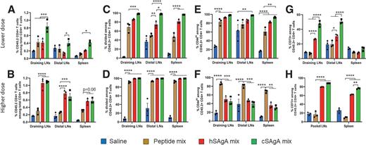 Figure 2. Response of adoptively transferred BDC2.5 CD4+ T cells to SAgAs or free peptides in different lymphoid tissues. Responses were measured in LNs and spleen by flow cytometry 3 days after a single treatment at lower dose (1 nmol peptides and 0.1 nmol SAgAs; upper panels) or higher dose (5 nmol peptides and 0.5 nmol SAgAs; lower panels). Dose shown is for each peptide (p79 and 2.5HIP) in the mix. Analysis was done on CD45.2+ CD4+ T cells (donor BDC2.5 T cells), and data are presented as follows: percentages of donor CD45.2+ cells among total CD4+ T cells (A and B), divided cells (diluted proliferation dye) among donor T cells (C and D), CD44hi among donor T cells (E and F), and CD73+ among donor T cells (G and H). Draining LNs were pooled axillary, brachial, and cervical; distal LNs were pooled mesenteric and pancreatic (PLN); pooled LNs had all, including pancreatic. Bars represent the mean ± SEM from three mice per group. Statistical analysis was performed using two-way ANOVA/Tukey for all panels. Higher background response to saline in distal LNs is due to recognition of endogenous antigens by BDC2.5 T cells in PLNs. In recipient CD4+ T cells, percentage of CD44hi cells was 10–25%, and percentage of CD73+ cells was <0.5%. There was no significant difference for both markers in recipient T cells between the four groups.
