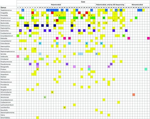 Figure 2. The overall distribution of bacteria identified in the patients. The color of the square indicates which bacterium was identified in each patient. Any color except yellow means that the bacterium was both isolated by culture study and 16S sequencing. Yellow squares display the bacteria that were only identified by 16S sequencing. Exceptionally, the light blue square designated with the letter c in case 8 was the only result obtained by culture studies but not by 16S sequencing, which could be the result of contamination. The square designated with the letter D indicates that the bacterium was the dominant pathogen on the basis of the abundancy of aligned reads in 16S sequencing. For example, in case 1, Corynebacterium and Veillonella were both revealed by culture studies and 16S sequencing. The 16S sequencing additionally identified Finegoldia, Bacteroides, and Enterococcus, and Enterococcus was assumed to be the dominant pathogen.