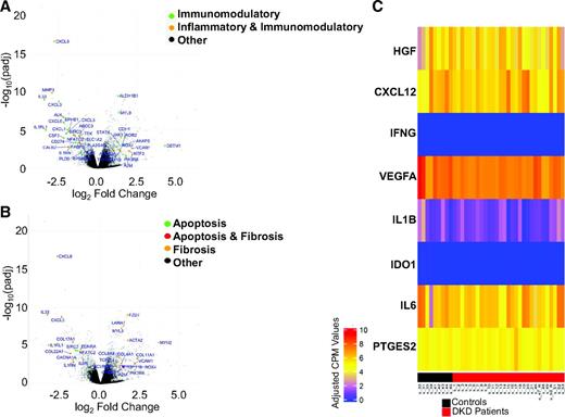 Figure 2. Top Differentially expressed genes involved in fibrosis, apoptosis, inflammation, and immune modulation. Next-generation sequencing (RNA-seq) and differential expression analysis were performed in MSCs harvested from participants with DKD (n = 29) and control subjects (n = 9). A and B: Volcano plots demonstrate the distribution of differentially expressed genes, with specific genes highlighted for their involvement in inflammation and immunomodulation or fibrosis and apoptosis pathways. C: Heatmap is shown of genes for growth factor and cytokines involved in kidney repair activity of MSC (adjusted P ≥ 0.1 for all). CPM, counts per million reads; IFNG, IFN-γ; PTGES2, prostaglandin-endoperoxide synthase 2; padj, adjusted P value.