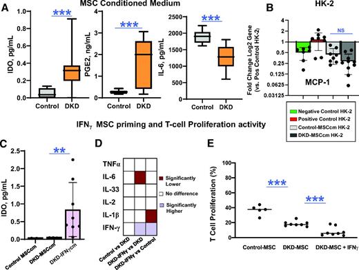 Figure 3. MSC immunomodulatory activity. A: Secretion of immunomodulatory factors IDO (DKD-MSC, n = 38; Control-MSC, n = 10) and PGE2 (DKD-MSC, n = 21; Control-MSC, n = 10) into culture supernatant was higher (P = 0.0002 and P = 0.001, respectively) in DKD-MSC. However, secretion of IL-6, a proinflammatory cytokine with antiapoptotic activities, was lower in DKD-MSC vs. Control-MSC (DKD-MSC, n = 38; Control-MSC, n = 10; P < 0.0001). B: Effect of 24-h MSCcm incubation on HG + TGF-β1–exposed HK-2 cells; gene expression showed DKD-MSCcm decreased MCP-1 gene expression but not greater than Control-MSCcm (negative control, n = 7; positive control, n = 8; Control-MSCcm, n = 8; DKD-MSCcm, n = 8; P = 0.7). C: IFN-γ priming of DKD-MSC resulted in a higher release of IDO into DKD-IFN-γcm (Control-MSCcm, n = 6; DKD-MSCcm, n = 8; DKD-IFN-γcm, n = 8; P = 0.006). D: Heatmap demonstrates comparisons between immunomodulatory and inflammatory cytokine levels in the unstimulated DKD-MSCcm, Control-MSCcm, and DKD-IFN-γcm. IFN-γ DKD-MSC priming resulted in lower levels of IL-6 (P = 0.008 by paired t test) and TNF-α (P = 0.06 by paired t test) compared with unstimulated DKD-MSCcm and lower IL-1β levels compared with Control-MSCcm (P = 0.002). E: DKD-MSC primed with IFN-γ inhibited alloreactive T-cell proliferation greater than Control-MSC (P = 0.002) and unstimulated MSC (Control MSCcm, n = 6; DKD-MSCcm, n = 8; DKD-IFN-γcm, n = 8; P = 0.007). **P ≤ 0.01, ***P ≤0.005. pos, positive.