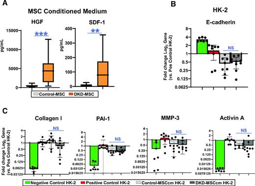 Figure 4. MSC antifibrotic activity. A: Secretion of HGF was substantially higher in DKD-MSC (n = 38) vs. Control-MSC (n = 10; P < 0.0001). Similarly, the trophic factor SDF-1 was higher in DKD-MSC (n = 20; P = 0.002 [Control-MSC, n = 10]). B: Effect of 24-h MSCcm incubation on HG + TGF-β–exposed HK-2 cells. Gene expression of E-cadherin, an EMT marker, was not restored in DKD-injured kidney cells cocultured with MSCcm from participants with DKD or control subjects. C: Among profibrotic markers, type I collagen was not reduced, although PAI-1 (P = 0.05), MMP-3 (P = 0.02), and activin A (P = 0.02) were decreased by DKD-MSC vs. positive HK-2 control. No differences were observed between DKD-MSCcm– and Control-MSCcm–treated groups for type I collagen, PAI-1, MMP-3, or activin A. Negative control, n = 7; positive control, n = 8; Control-MSCcm, n = 8; DKD-MSCcm, n = 8. **P ≤ 0.01, ***P ≤ 0.005. pos, positive.