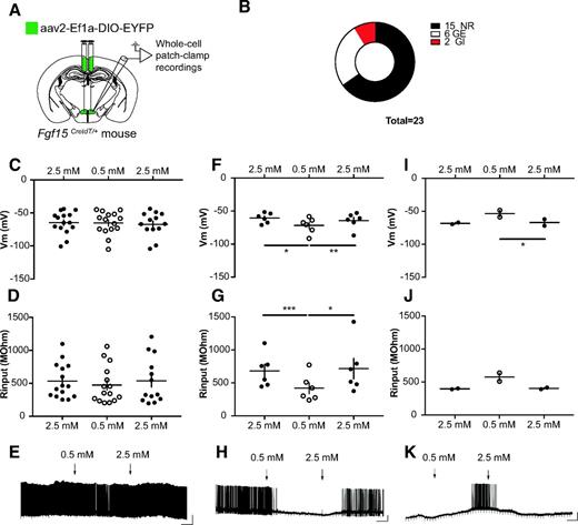 Figure 6. Glucose responsiveness of DMH Fgf15 neurons. A: Recombinant AAV2-EF1a-DIO-EYFP was injected in the DMH of Fgf15CreTdT/+ mice to allow fluorescence visualization of Fgf15 neurons. B: Number of recorded NR, GE, or GI Fgf15 neurons. C–E: Membrane potential (C), membrane resistance (D), and representative recording (E) of NR Fgf15 neurons. F–H: Membrane potential (F), membrane resistance (G), and representative recording (H) of GE Fgf15 neurons. I–K: Membrane potential (I), membrane resistance (J), and representative recording (K) of GI Fgf15 neurons. Data are shown as mean ± SEM. *P < 0.05; **P < 0.01; ***P < 0,001. One-way ANOVA followed by Bonferroni multiple comparisons test (F, G, and I).