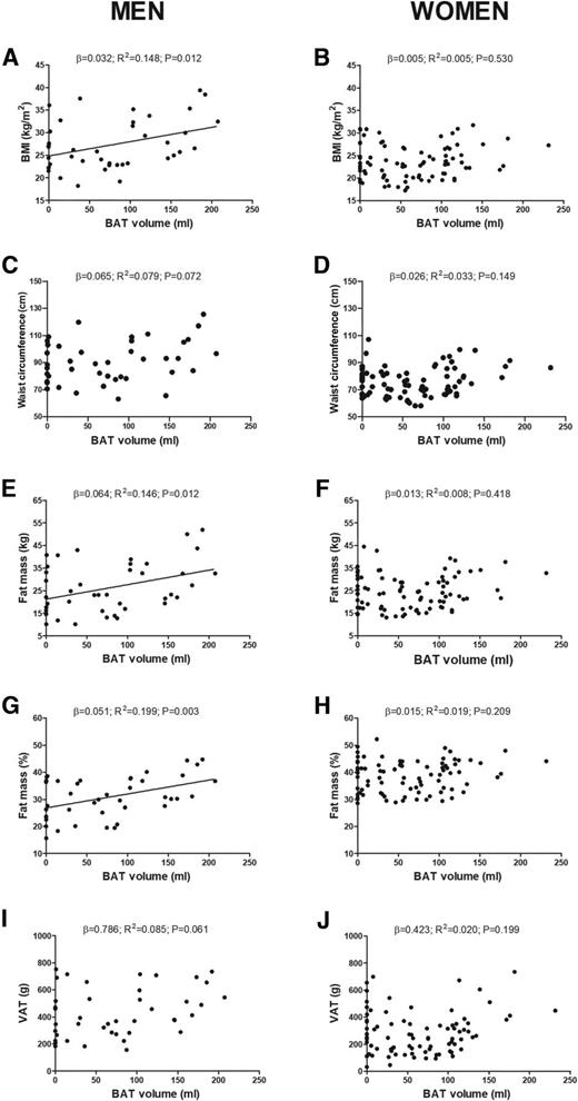 Figure 1. Associations between BAT volume and whole-body adiposity. β = unstandardized simple regression coefficient; R2 = standardized coefficient of determination.