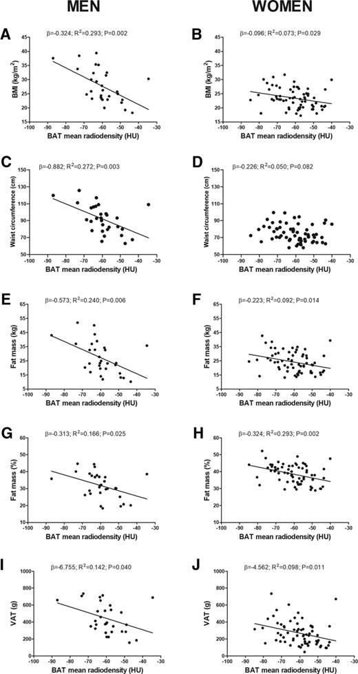Figure 4. Associations between BAT mean radiodensity and whole-body adiposity. β = unstandardized simple regression coefficient; R2 = standardized coefficient of determination.