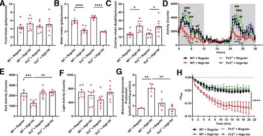 Figure 5. TLR2 KO preserves physical activity in response to high-fat diet feeding, which is attributable to restored skeletal muscle mitochondrial function. Eight-week-old male WT and Tlr2−/− mice were housed individually in the chambers of the Oxymax-CLAMS animal monitoring system with free access to food and water and randomly divided into two dietary groups to receive regular chow or high-fat diet for 3 days. In parallel experiments, male mice were fed regular chow or high-fat diet for 6 weeks to freshly isolate mitochondria for analyses of superoxide production and swelling activity. A: Grouped data of food intake in WT and Tlr2−/− mice fed regular chow or high-fat diet (n = 6–7). B: Grouped data of water intake in WT and Tlr2−/− mice fed regular chow or high-fat diet (n = 6–7). C: Grouped data of calorie intake in WT and Tlr2−/− mice fed regular chow or high-fat diet (n = 6–7). D: Grouped data of locomotor activity measured continuously over 36 h in WT and Tlr2−/− mice fed regular chow or high-fat diet (n = 6–7). Time: 0 h = 6:00 p.m. and represents starting of lights off; the dark cycles are highlighted in gray shades. E: Grouped data of total locomotor activity during the dark cycle in WT and Tlr2−/− mice fed regular chow or high-fat diet (n = 6–7). F: Grouped data of total locomotor activity during the light cycle in WT and Tlr2−/− mice fed regular chow or high-fat diet (n = 6–7). G: Grouped data of mitochondrial superoxide production measured by ESR in WT and Tlr2−/− mice fed regular chow or high-fat diet for 6 weeks (n = 3–4). H: Grouped data of mitochondrial swelling activity in WT and Tlr2−/− mice fed regular chow or high-fat diet for 6 weeks (n = 3–4). Data are shown as mean ± SEM. *P < 0.05, **P < 0.01, ***P < 0.001, ****P < 0.0001. For D, *P < 0.05, **P < 0.01, ***P < 0.001, ****P < 0.0001 vs. WT + regular chow; ##P < 0.01, ###P < 0.001, ####P < 0.0001 vs. WT + high-fat diet. A540, absorbance at 540 nm.