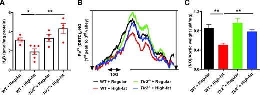Figure 7. TLR2 KO restores H4B and NO bioavailabilities in response to high-fat feeding. Eight-week-old male WT and Tlr2−/− mice were randomly divided into two dietary groups and fed either regular chow or high-fat diet for 6 weeks. Mice were harvested for assessment of aortic H4B bioavailability and NO bioavailability using HPLC and ESR respectively. A: Grouped data of aortic H4B levels in WT and Tlr2−/− mice fed regular chow or high-fat diet (n = 4–6). B: Representative ESR spectra of NO in WT and Tlr2−/− mice fed regular chow or high-fat diet. C: Grouped data of aortic NO levels in WT and Tlr2−/− mice fed regular chow or high-fat diet (n = 5–6). Data are shown as mean ± SEM. *P < 0.05; **P < 0.01.