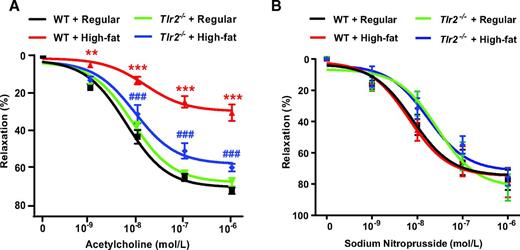Figure 8. TLR2 KO reverses high-fat diet–induced impairment in endothelium-dependent vasorelaxation. Eight-week-old male WT and Tlr2−/− mice were randomly divided into two dietary groups and fed either regular chow or high-fat diet for 6 weeks. Freshly isolated aortic rings were mounted into an organ bath (Multi Wire Myograph System) under 12 mN tension for 5 min and then equilibrated by PSS bicarbonate buffer. The rings were precontracted with 1 μmol/L phenylephrine and then exposed to incremental concentrations of acetylcholine (1 nmol/L–1 μmol/L) or sodium nitroprusside (1 nmol/L–1 μmol/L) to evaluate endothelium-dependent or endothelium-independent vasorelaxation, respectively. A: Grouped data of endothelium-dependent vasorelaxation in response to acetylcholine in precontracted aortic rings (n = 10–11). Data are shown as mean ± SEM. **P < 0.01, ***P < 0.001 vs. WT + regular chow; ###P < 0.001 vs. WT + high-fat diet. B: Grouped data of endothelium-independent vasorelaxation in response to sodium nitroprusside in precontracted aortic rings (n = 5–7). Data are shown as mean ± SEM. Differences are nonsignificant among groups.