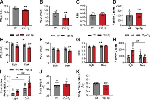 Figure 3. Energy balance and physical activity are altered in Vpr-Tg mice at RT. Vpr-Tg mice manifest decreased VO2 (A) and VCO2 (B) compared with WT mice over 24 h. RER (C) and activity (D) are not different in the two groups of mice. Vpr-Tg mice manifest decreased VO2 (E) and VCO2 (F) during both light and dark phases compared with WT mice. Increased RER in the Vpr-Tg mice occurs predominantly in the dark phase (G); conversely, Vpr-Tg mice are more active compared with WT mice in the light phase but not in the dark phase (H). I: Vpr-Tg mice display increased feeding behavior in the dark phase compared with WT mice. Body weight (J) and body temperature (K) do not differ between the two groups of mice at the end of the 24-h cycle. Values are mean ± SD. Two-tailed, unpaired t tests for unequal variance were used. P < 0.05 was considered significant. *P < 0.05; **P < 0.01; n = 5 in each group.