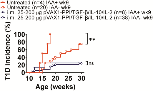 Multicytokine plasmid therapy is efficacious regardless of individuals’ IAA status at baseline. NOD mice at 9 weeks of age (wk9) were bled, and their plasma was collected for IAA measurements before i.m. weekly dosing was started with 25 µg, 50 µg, 100 µg, or 200 µg pVAX1-PPI/TGF-β/IL-10/IL-2. A group of mice was left untreated as negative controls. Blood glycemia was followed weekly, and type 1 diabetes diagnosis was determined with two consecutive glycemia values >250 mg/dL. At end point: categorization of untreated (square symbols) and plasmid-treated (circle symbols) mice according to negative (empty symbols) or positive (closed symbols) IAA status at baseline, plotted relative to glycemic status (diabetic nonresponders vs. protected responders). Numbers of mice per group are included in the graph. Kaplan-Meier survival curves were analyzed with a Log-rank Mantel-Cox test. **P < 0.01. ns, nonsignificant.
